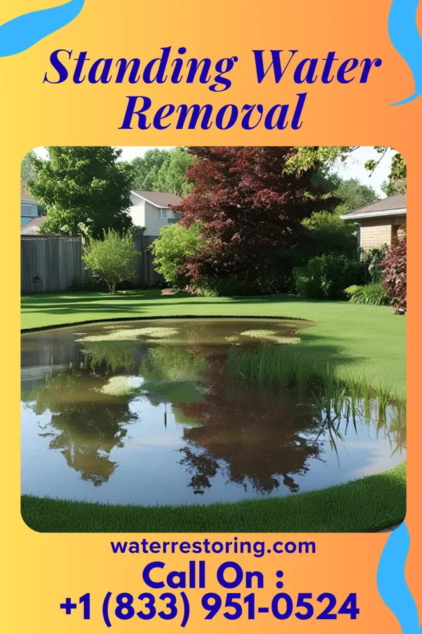 Standing Water Removal in Paducah, TX